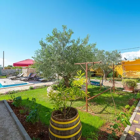 Pet Friendly In Golubovo